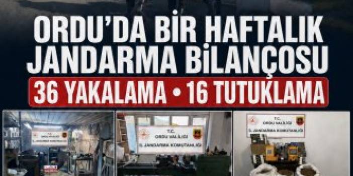 ORDU’DA JANDARMADAN BİR HAFTADA 36 YAKALAMA: 16 TUTUKLAMA