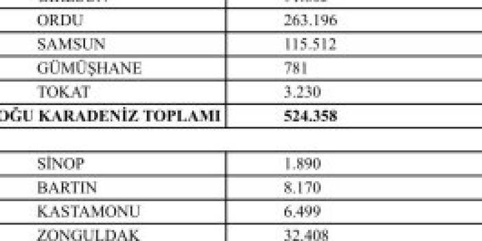 2026 YILI FINDIK REKOLTESI NE KADAR TAHMIN EDILDI