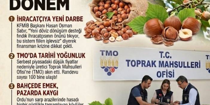 ORDU’NUN CAN DAMARI FINDIKTA İHRACATÇIYA YENİ DARBE! KFMİB BAŞKANI SABIR UYARDI