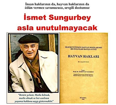 ismetsungurbey.jpeg