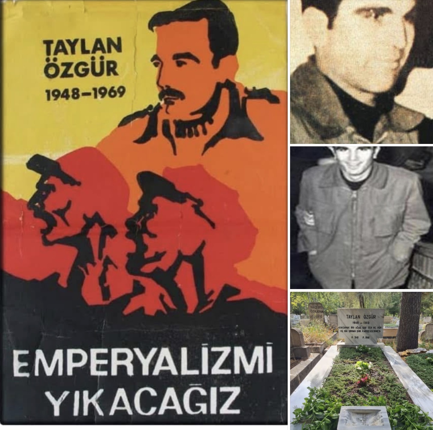 taylanozgur.jpeg