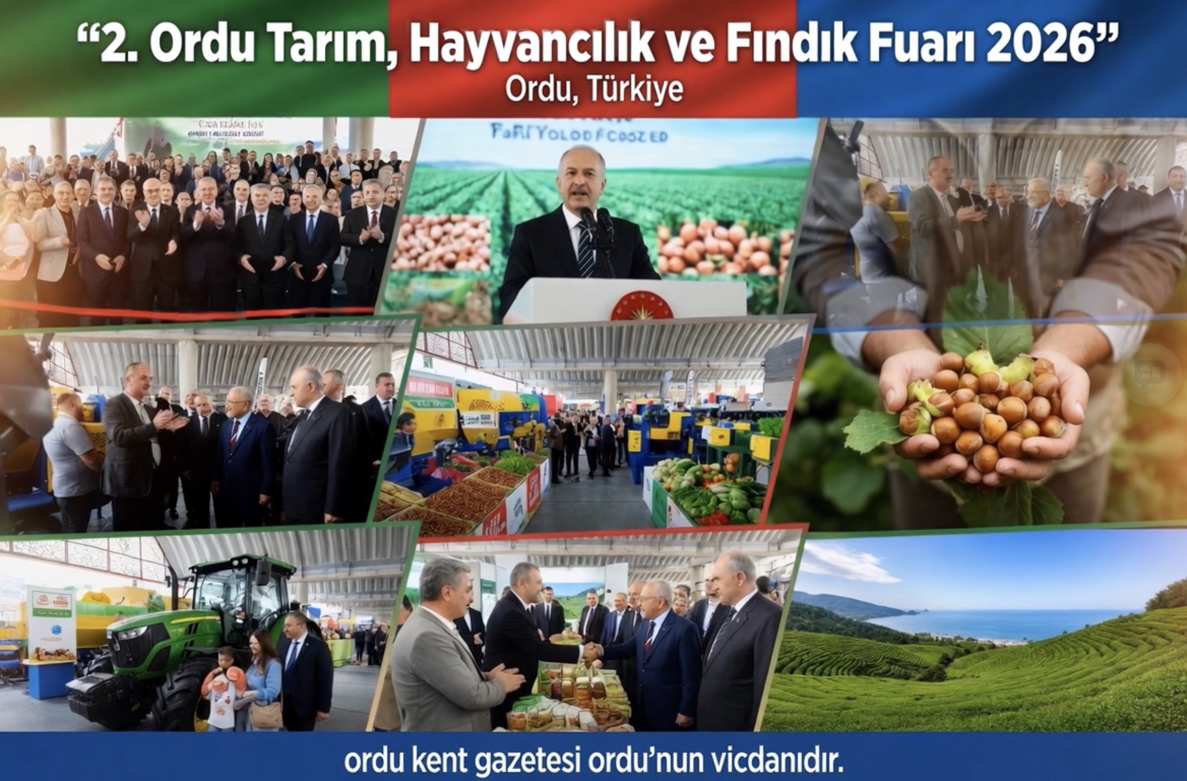 fatsafindikfuari.jpeg