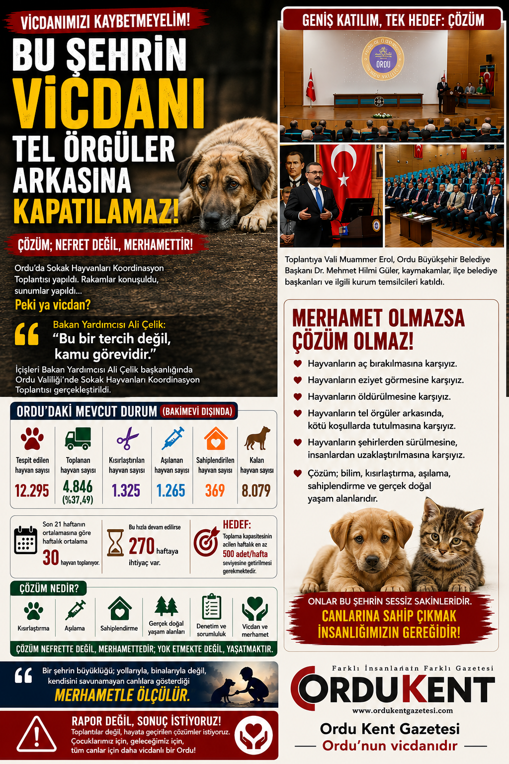 cbc70af1-b444-409b-b301-2a1292608400.png