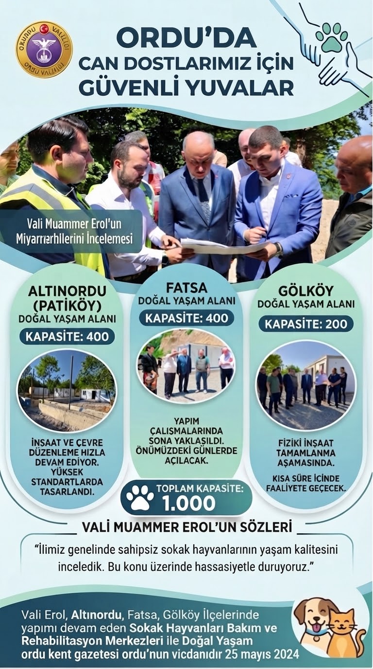 sokak-hayvanlari-hapishanesi-yapiliyor.jpeg