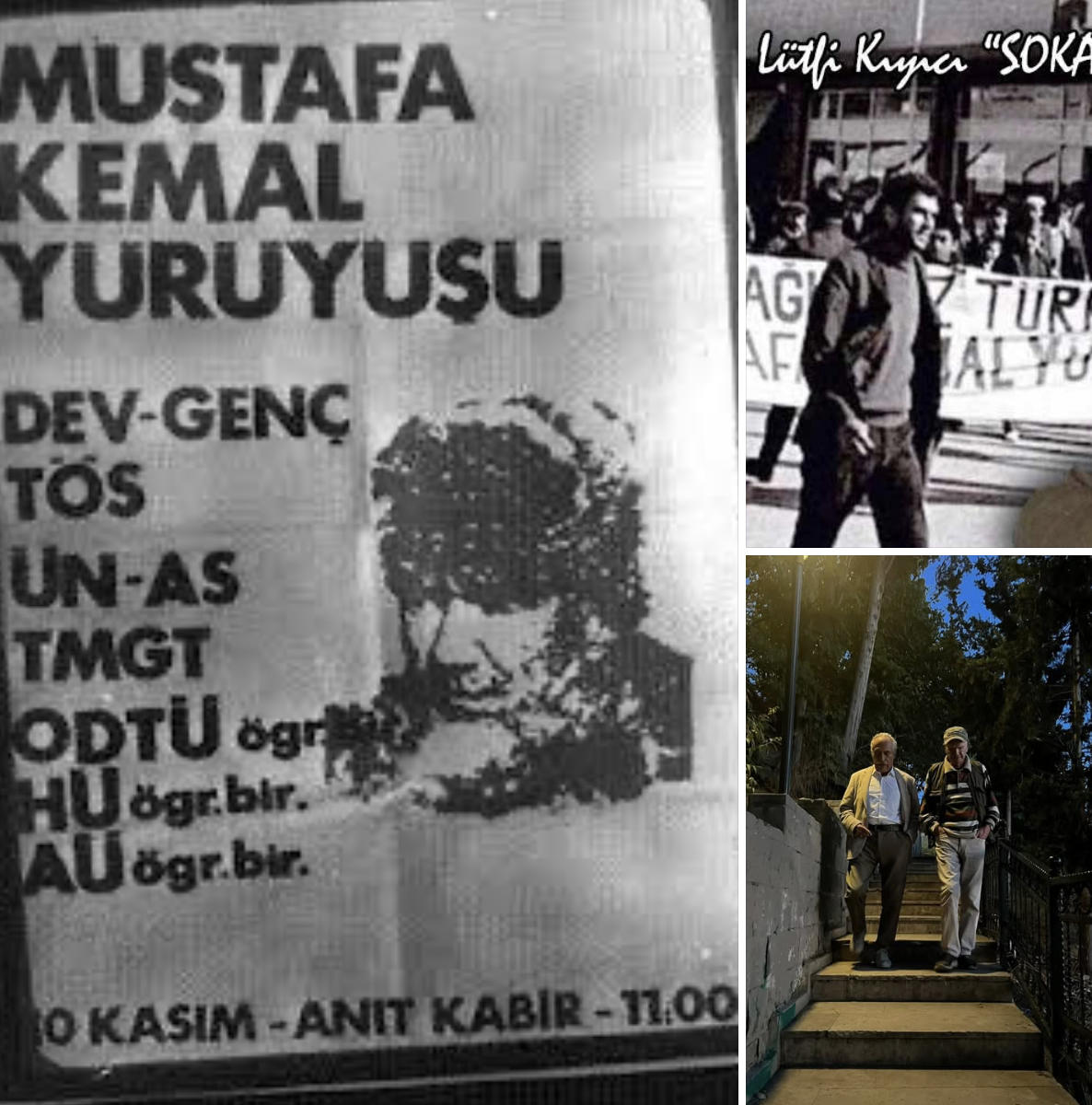 img-3536.png
