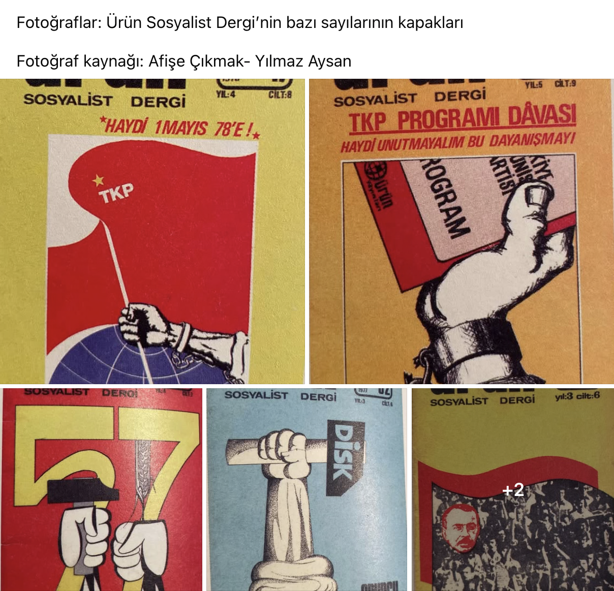 img-3537.png